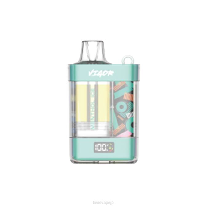 メンソールアイス LAVIE VIGOR 15000パフ 260P2 | Lavie Store Japan